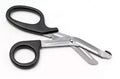 Stainless Steel Scissors