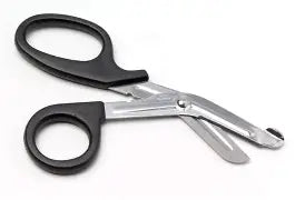 Stainless Steel Scissors