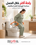 Electric toilet raiser
